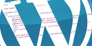 Wordpress Güncelleme Sorunu ve Çözümü