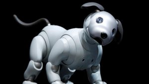 Sony Aibo, 2017 güncellemesiyle geri dönüyor Sony Aibo, 2017 güncellemesiyle geri dönüyor