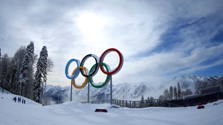 Olimpiyat oyunlarına siber saldırı